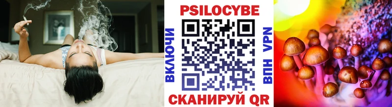 Галлюциногенные грибы мицелий  Купить  Кисловодск 